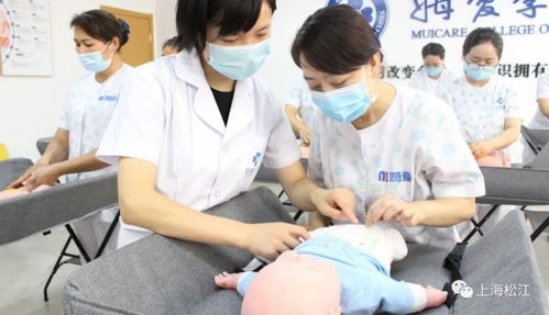 上海五大新城发力崛起商机无限，家政母婴护理行业顺势突围